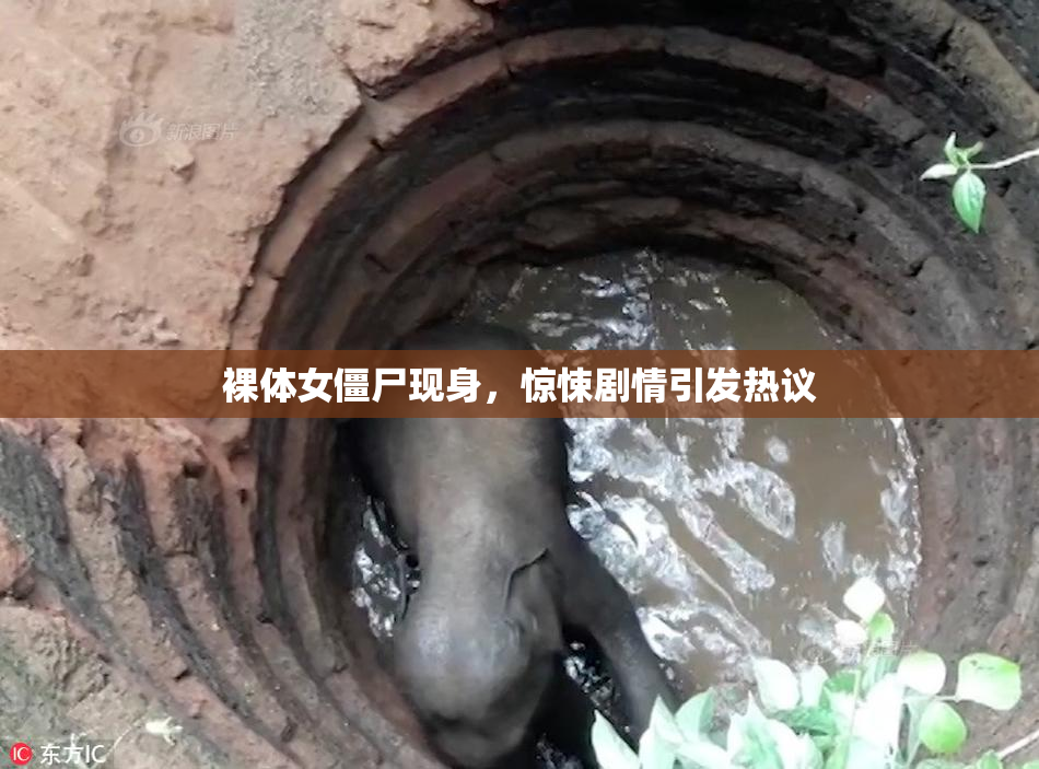 裸体女僵尸现身，惊悚剧情引发热议