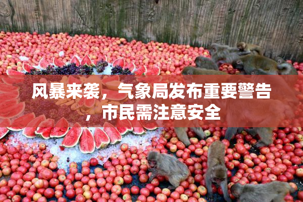 风暴来袭，气象局发布重要警告，市民需注意安全