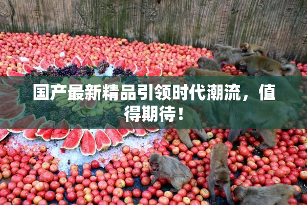 国产最新精品引领时代潮流，值得期待！