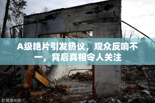 A级艳片引发热议，观众反响不一，背后真相令人关注