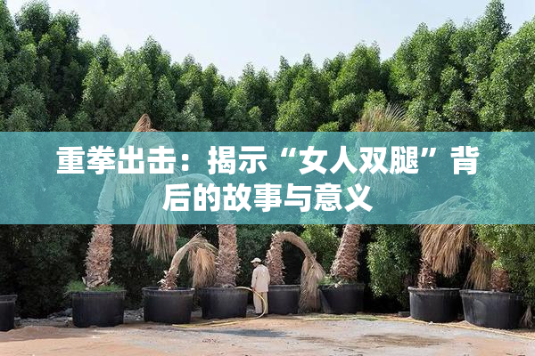 重拳出击：揭示“女人双腿”背后的故事与意义