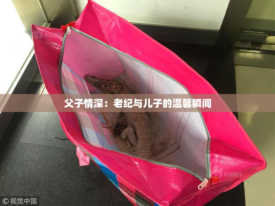 父子情深：老纪与儿子的温馨瞬间