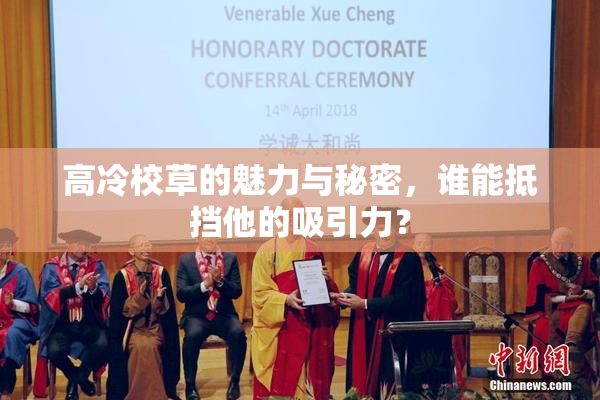 高冷校草的魅力与秘密，谁能抵挡他的吸引力？
