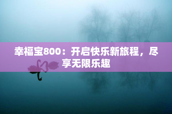 幸福宝800：开启快乐新旅程，尽享无限乐趣