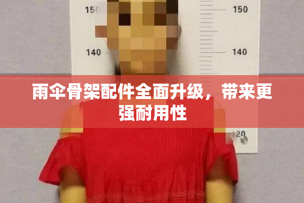 雨伞骨架配件全面升级，带来更强耐用性