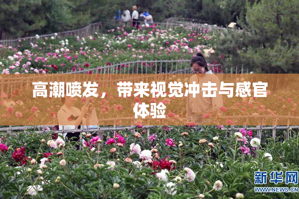 高潮喷发，带来视觉冲击与感官体验