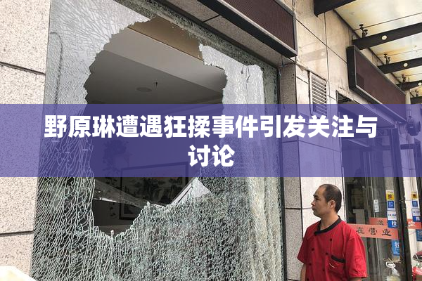 野原琳遭遇狂揉事件引发关注与讨论
