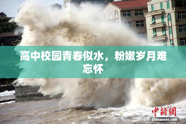 高中校园青春似水，粉嫩岁月难忘怀