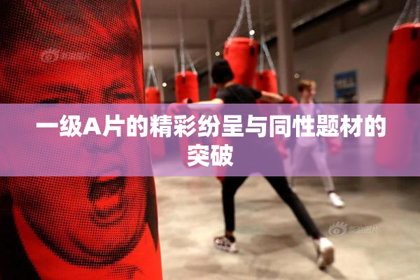 一级A片的精彩纷呈与同性题材的突破