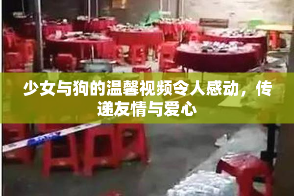 少女与狗的温馨视频令人感动，传递友情与爱心
