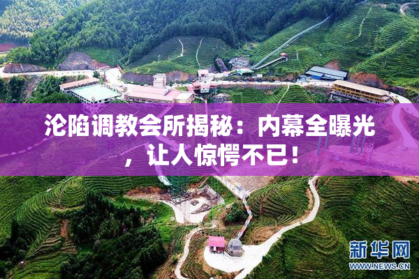 沦陷调教会所揭秘：内幕全曝光，让人惊愕不已！