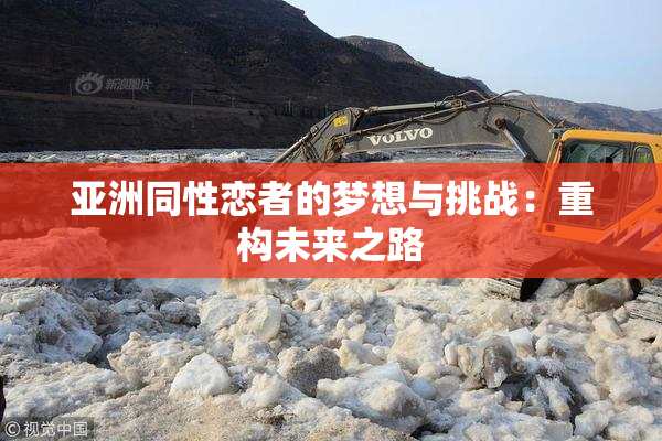 亚洲同性恋者的梦想与挑战：重构未来之路
