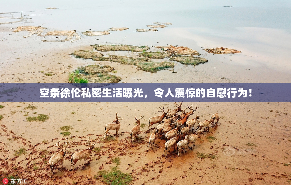 空条徐伦私密生活曝光，令人震惊的自慰行为！