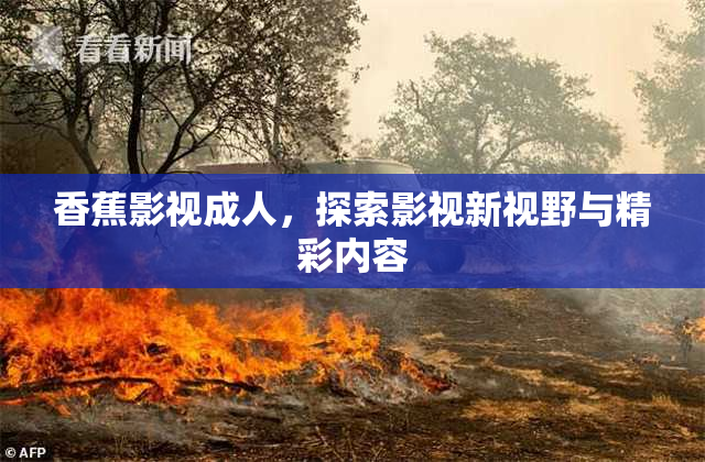 香蕉影视成人，探索影视新视野与精彩内容