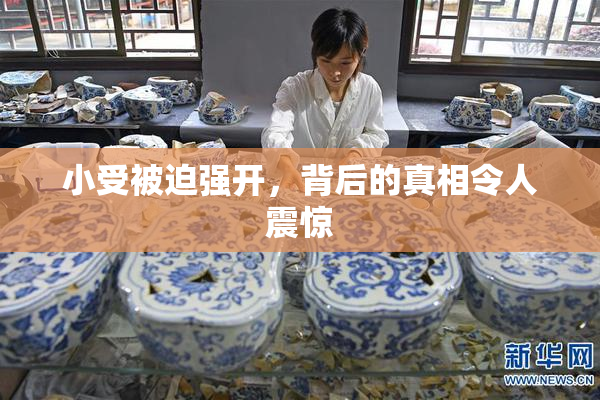 小受被迫强开，背后的真相令人震惊