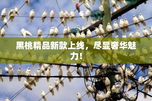 黑桃精品新款上线，尽显奢华魅力！