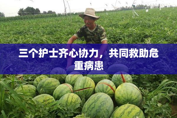 三个护士齐心协力，共同救助危重病患