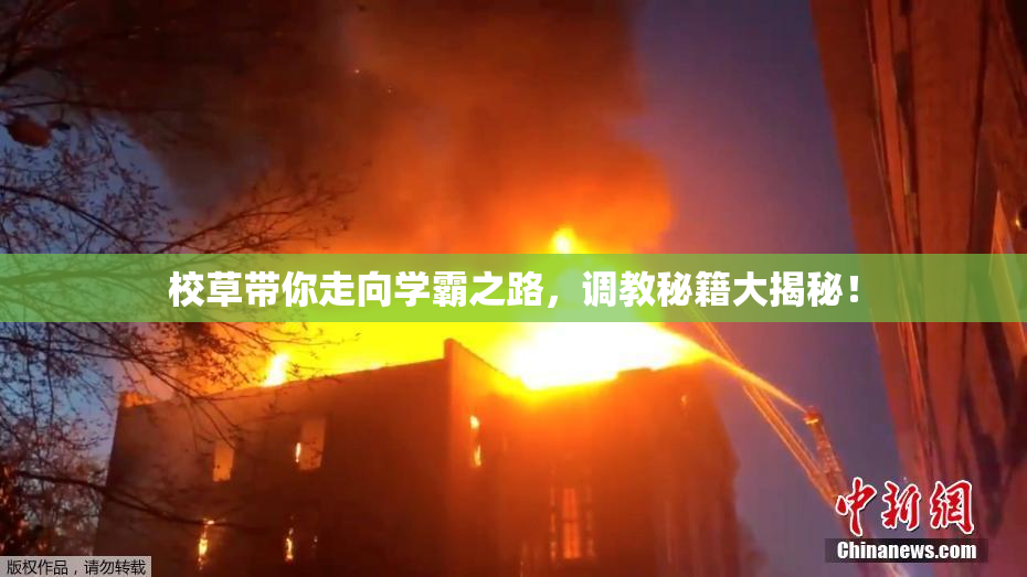 校草带你走向学霸之路，调教秘籍大揭秘！