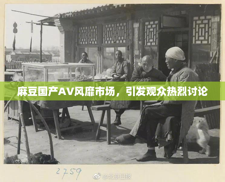 麻豆国产AV风靡市场，引发观众热烈讨论