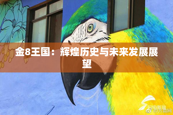 金8王国：辉煌历史与未来发展展望