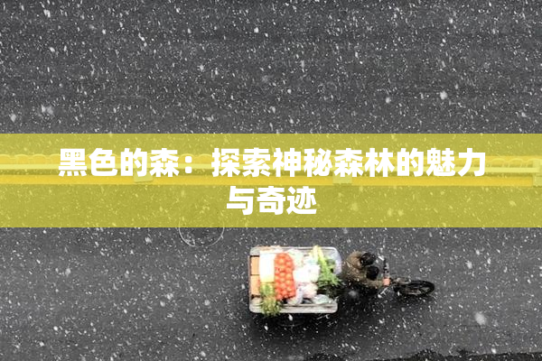 黑色的森：探索神秘森林的魅力与奇迹