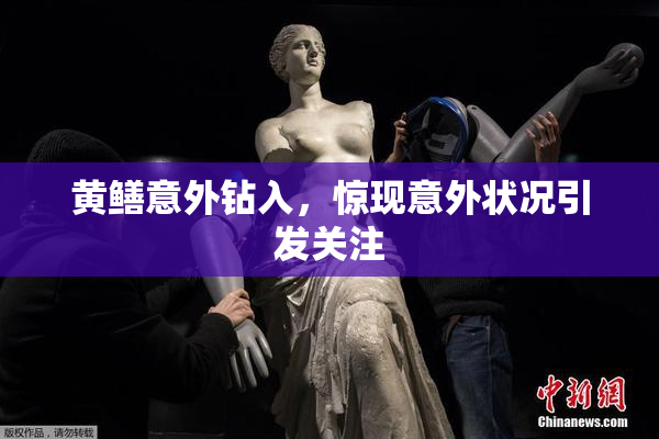 黄鳝意外钻入，惊现意外状况引发关注
