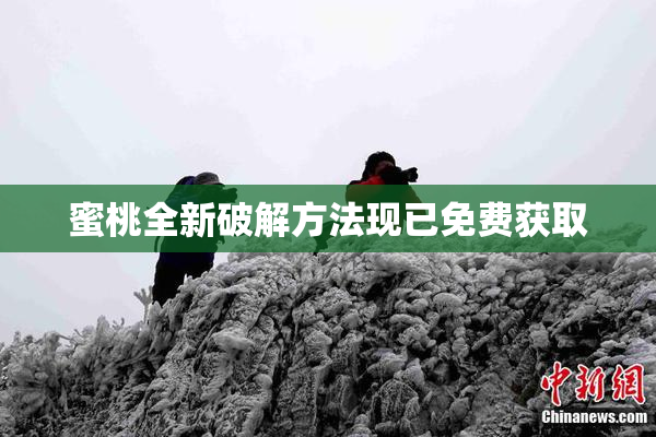 蜜桃全新破解方法现已免费获取