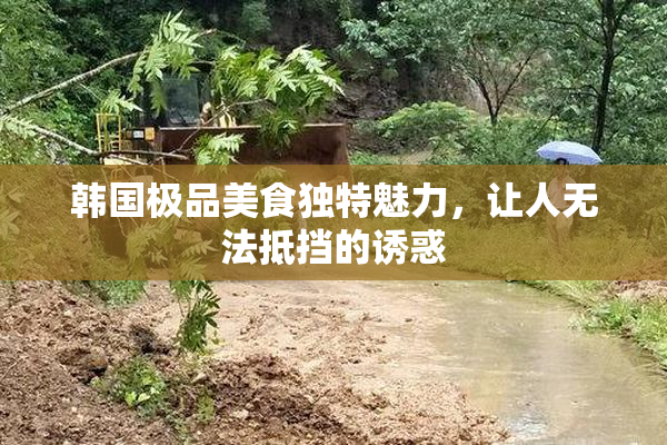 韩国极品美食独特魅力，让人无法抵挡的诱惑
