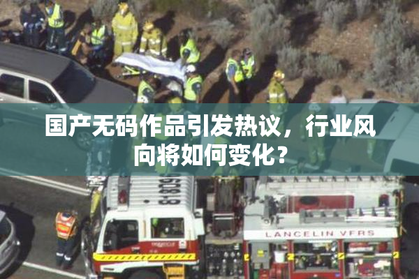 国产无码作品引发热议，行业风向将如何变化？