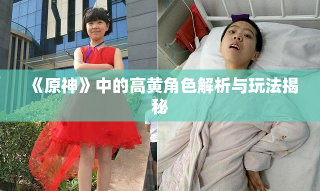 《原神》中的高黄角色解析与玩法揭秘