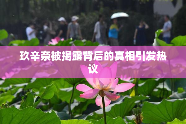 玖辛奈被揭露背后的真相引发热议