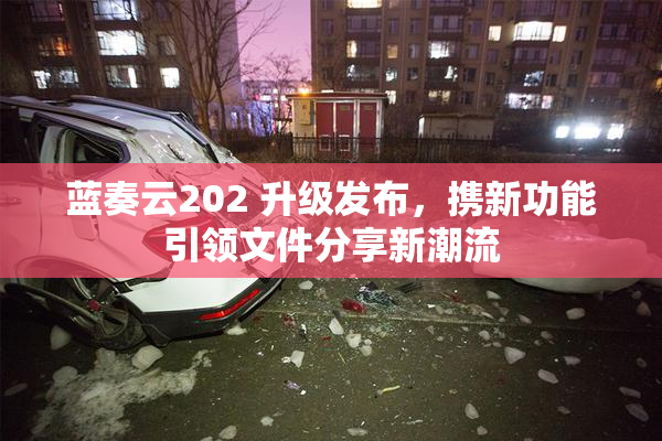 蓝奏云202 升级发布，携新功能引领文件分享新潮流