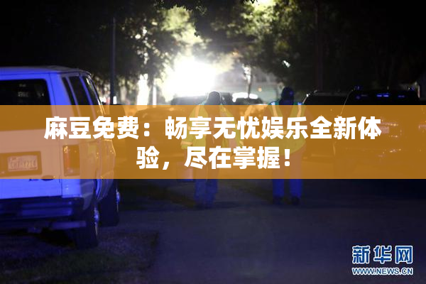 麻豆免费：畅享无忧娱乐全新体验，尽在掌握！