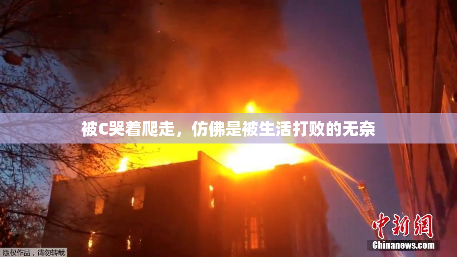 被C哭着爬走，仿佛是被生活打败的无奈