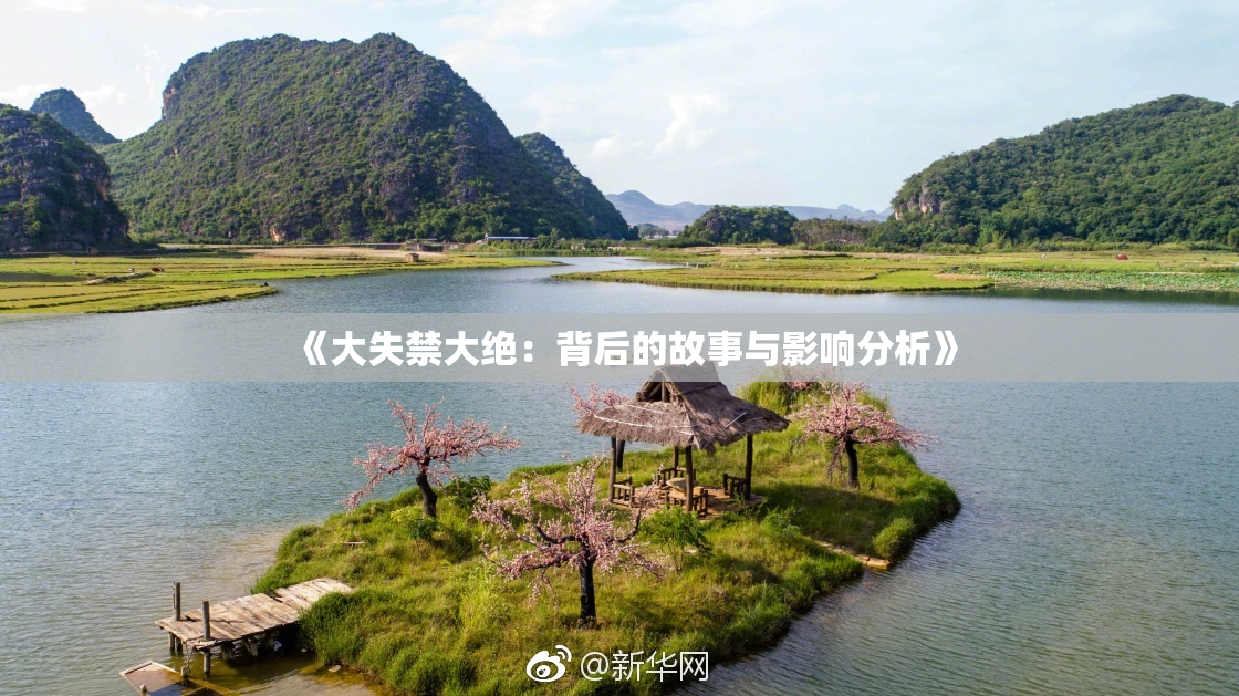 《大失禁大绝：背后的故事与影响分析》