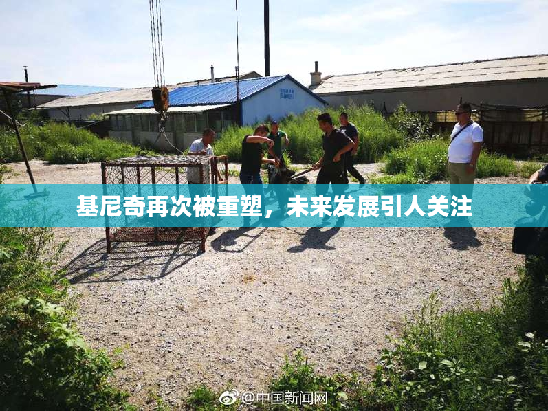 基尼奇再次被重塑，未来发展引人关注