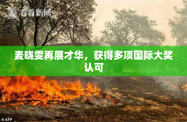 麦晓雯再展才华，获得多项国际大奖认可