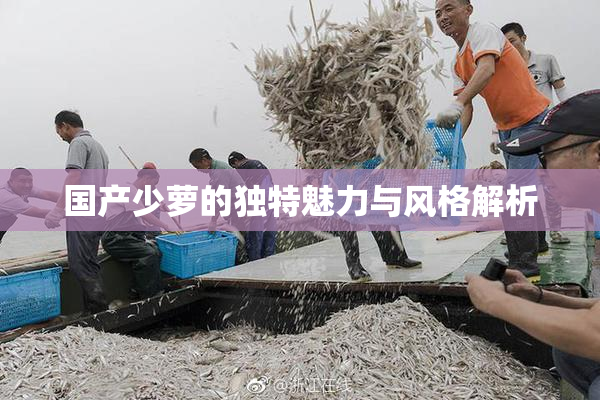 国产少萝的独特魅力与风格解析