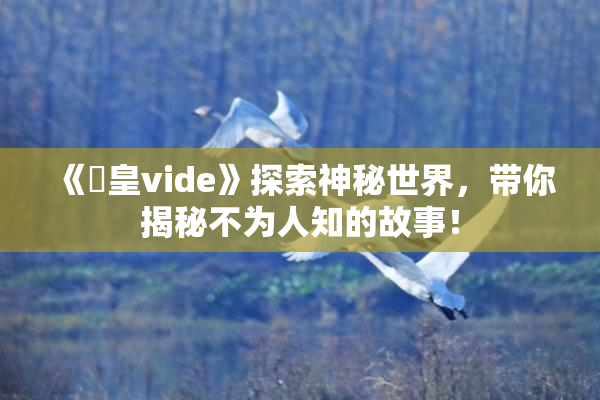《嘼皇vide》探索神秘世界，带你揭秘不为人知的故事！