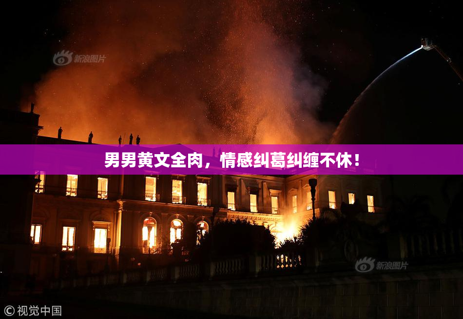 男男黄文全肉，情感纠葛纠缠不休！