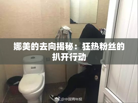 娜美的去向揭秘：狂热粉丝的扒开行动