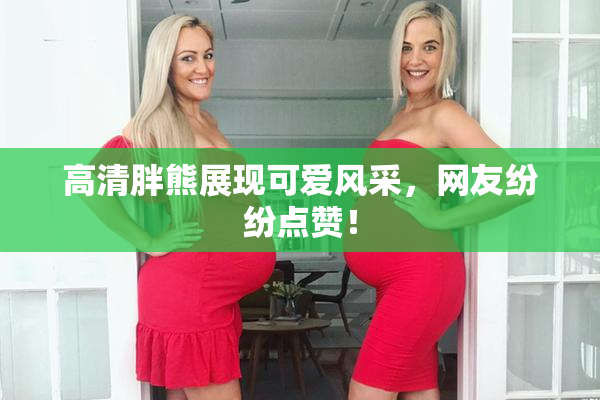 高清胖熊展现可爱风采，网友纷纷点赞！