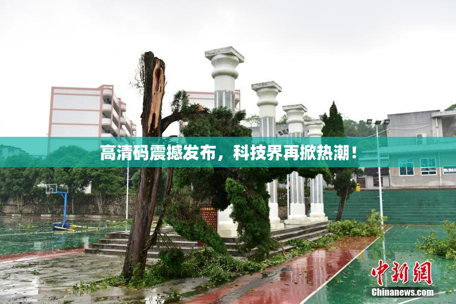 高清码震撼发布，科技界再掀热潮！
