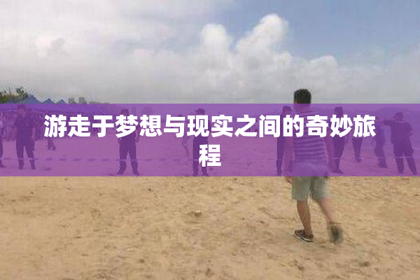 游走于梦想与现实之间的奇妙旅程