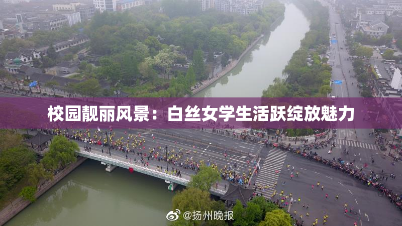 校园靓丽风景：白丝女学生活跃绽放魅力