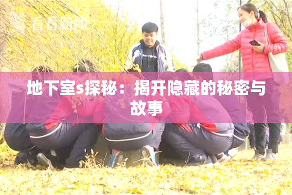地下室s探秘：揭开隐藏的秘密与故事