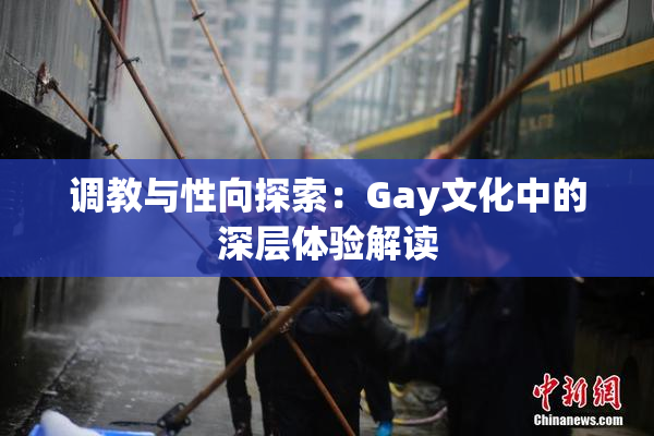 调教与性向探索：Gay文化中的深层体验解读