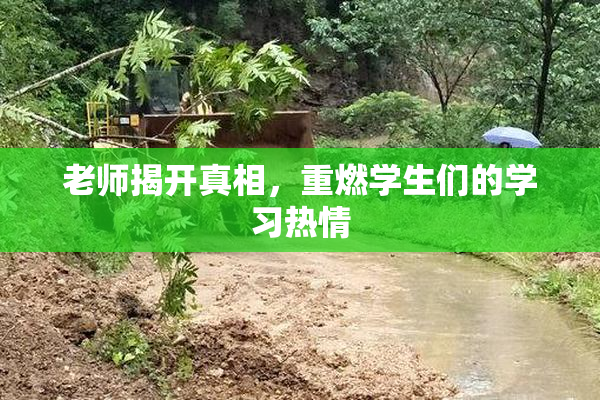 老师揭开真相，重燃学生们的学习热情