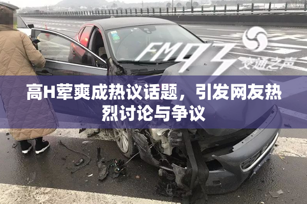 高H荤爽成热议话题，引发网友热烈讨论与争议