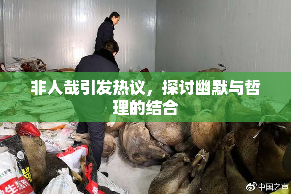非人哉引发热议，探讨幽默与哲理的结合